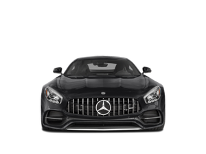 2018 Mercedes-AMG&#174; GT R